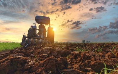 Kako izbrati pravi traktor za svoje kmetijsko gospodarstvo?